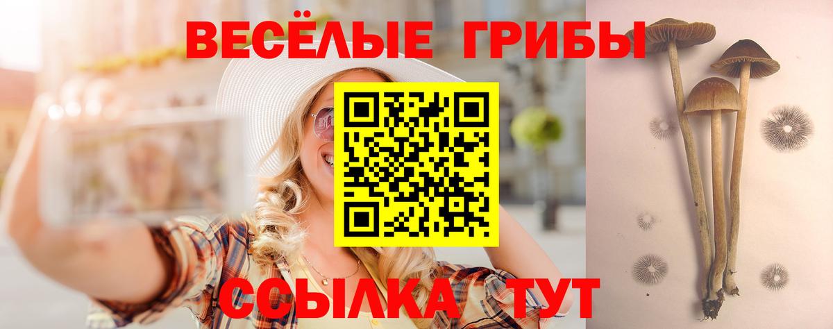 Галлюциногенные грибы MAGIC MUSHROOMS  Вход с VPN  Артёмовский 